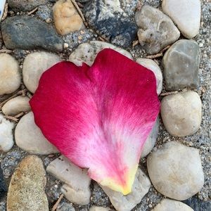 Meet your Posher, Sandy